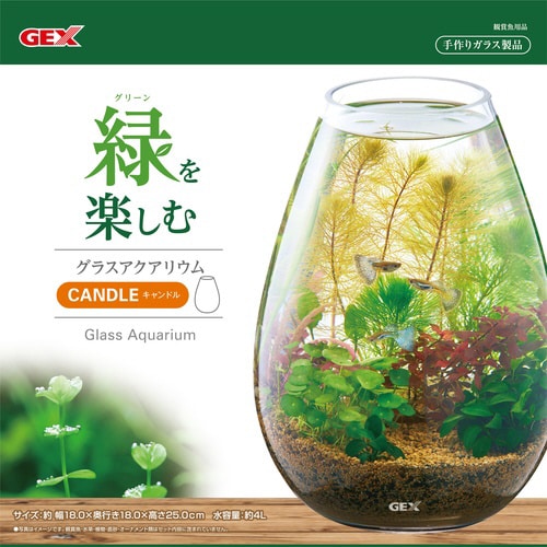 グラスアクアリウム キャンドル