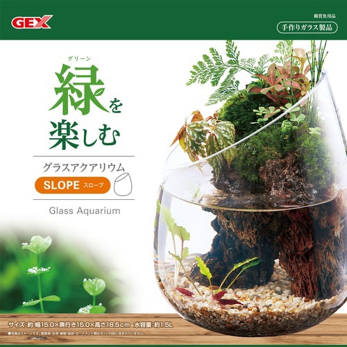 グラスアクアリウム スロープ
