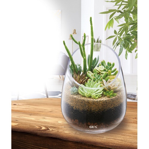 グラスアクアリウム スロープ