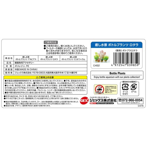 癒し水景 ボトルプランツ ロタラ