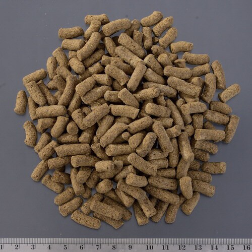 トカゲブレンドフード