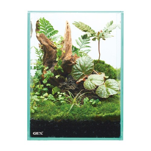 グラステリア フィット 150 plus