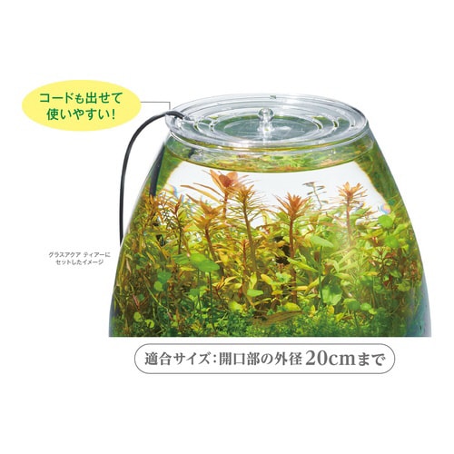 グラストップラウンド