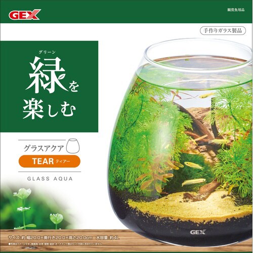 グラスアクア ティアー