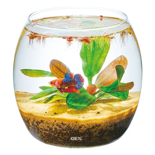 グラスアクア ドロップ