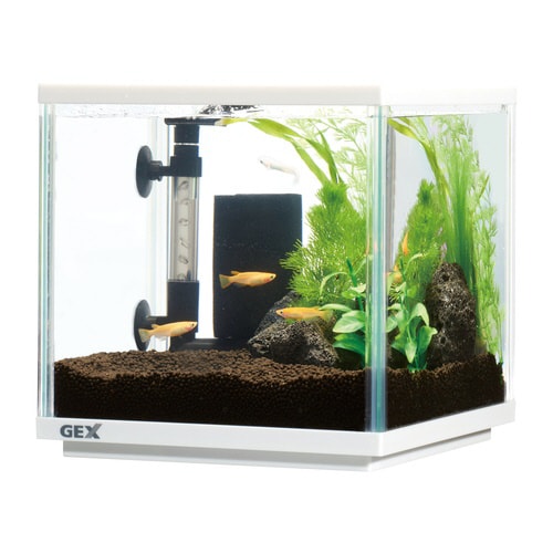 メダカ元気 メダカのための水槽セット20