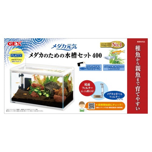 メダカ元気 メダカのための水槽セット40