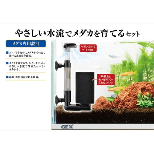 メダカ元気 メダカのための水槽セット40