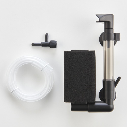 メダカ元気 メダカを育てるフィルター