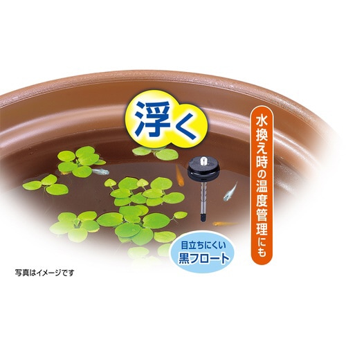 浮くクリスタル水温計