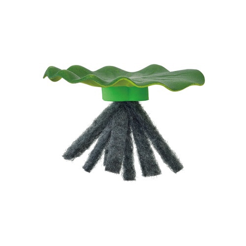 メダカ水景 メダカのお守り草 ハス