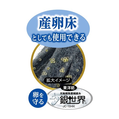 メダカ水景 メダカのお守り草 ハス