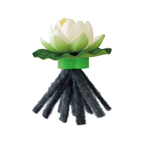 メダカ水景 メダカのお守り草 スイレン