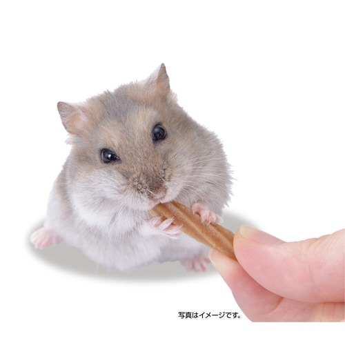 ハムテイン チキンチュロス