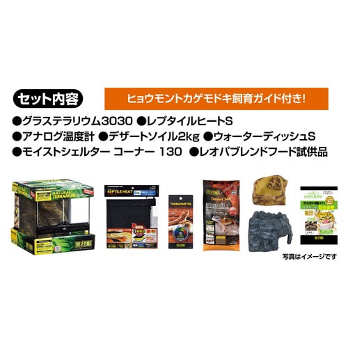 レオパ飼育キット