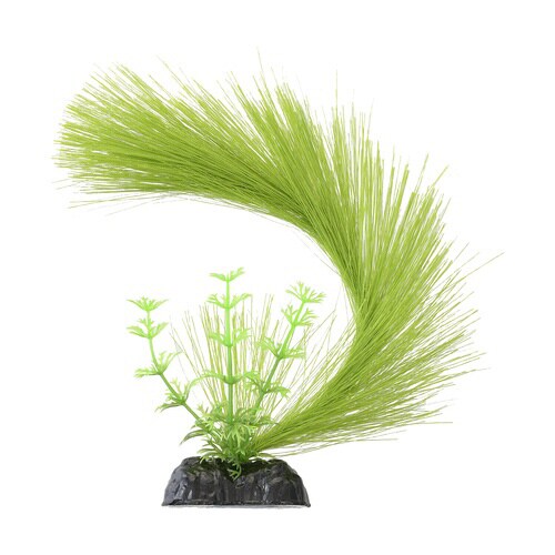 メダカ水景 ふわふわ産卵草 半円