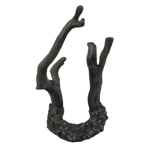 癒し水景ボトルウッド