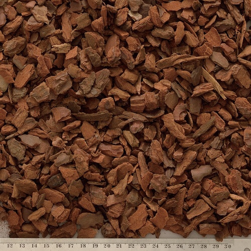 テラリウムバーク