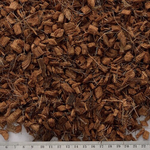 テラリウムハスク