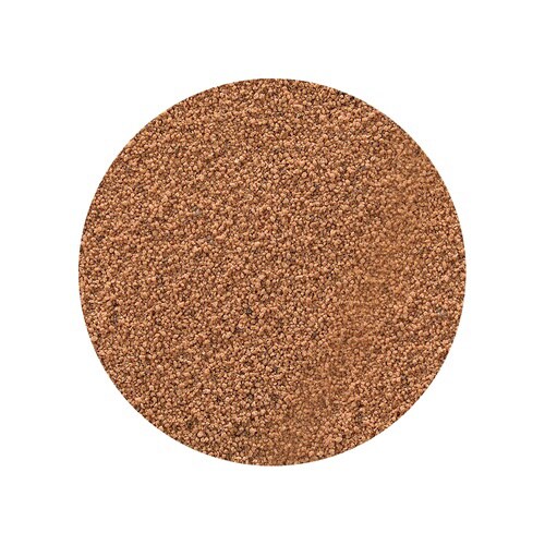 メダカ元気 彩姫 産卵・繁殖用