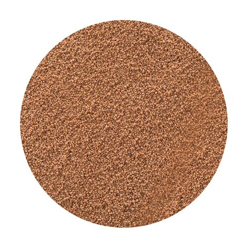 メダカ元気 彩姫 成長用