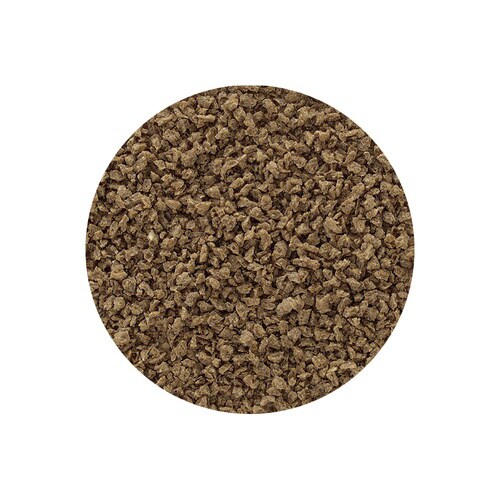 ワイルドバイト グッピー・カラシン