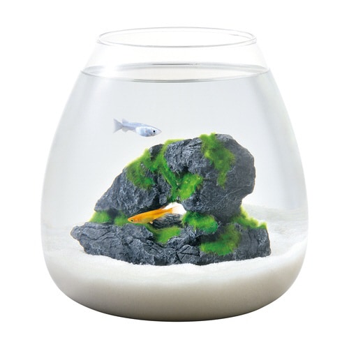 癒し水景 モスロック Cave