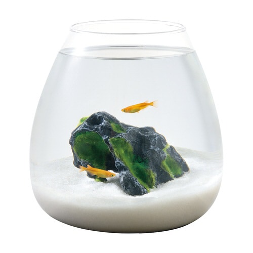 癒し水景 モスロック Hide