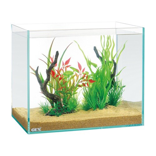 癒し水景 MIXプランツ ウッド バリス