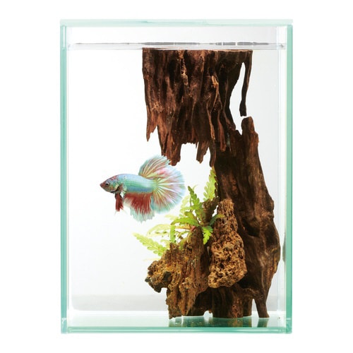 グラステリアフィット ベタ 150