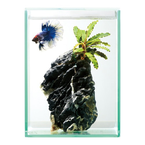 グラステリアフィット ベタ 150