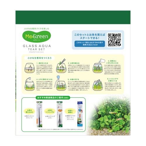 MeGreen 新鮮な水草付き グラスア
