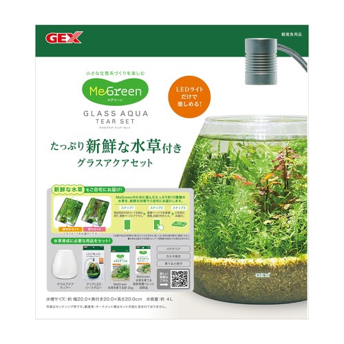 MeGreen 新鮮な水草付き グラスア