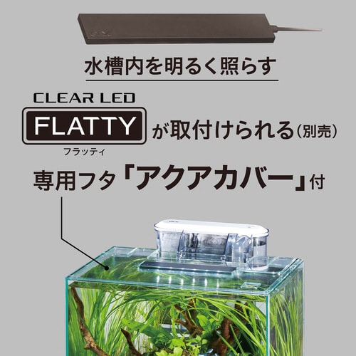 グラステリアFL300 水槽