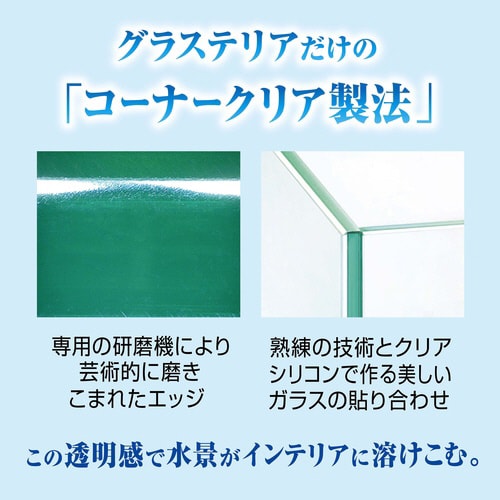 グラステリアFL300 水槽