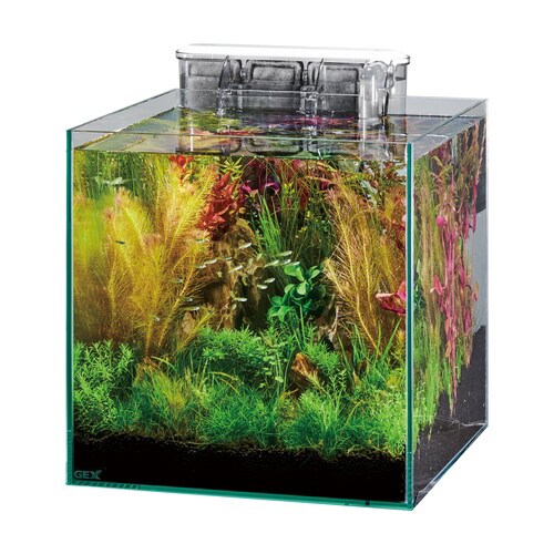 グラステリア300キューブ スリムフィル