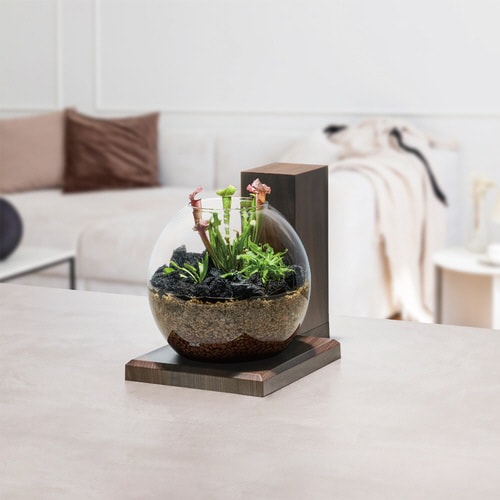 グラスアクア PERCO B‐Dark