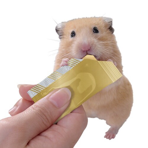 ハムテイン ぺろっと豆乳