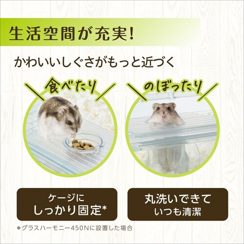 ハーモニーランウェイ450
