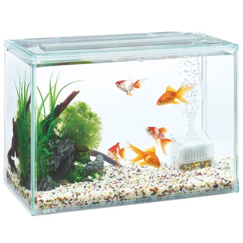 金魚元気ぶくぶくクリア400