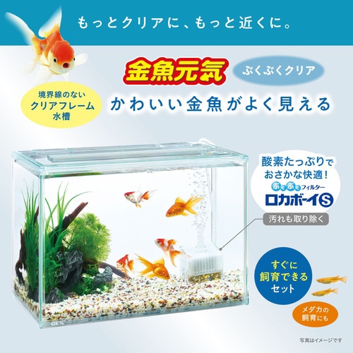金魚元気ぶくぶくクリア400