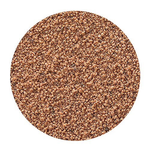 メダカ元気 彩姫 極上