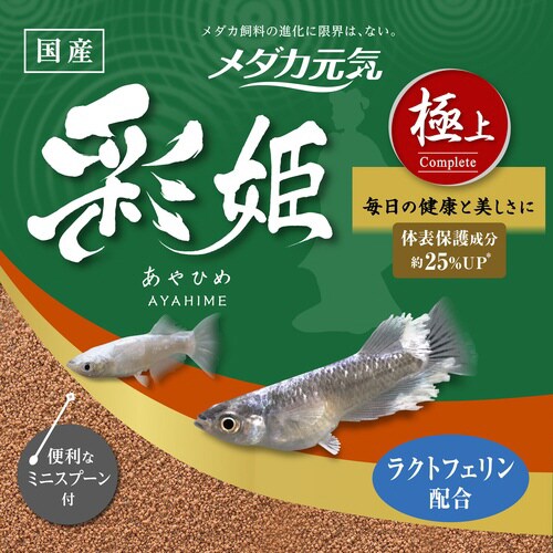 メダカ元気 彩姫 極上