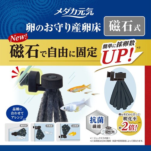 メダカ元気 卵のお守り産卵床 磁石式