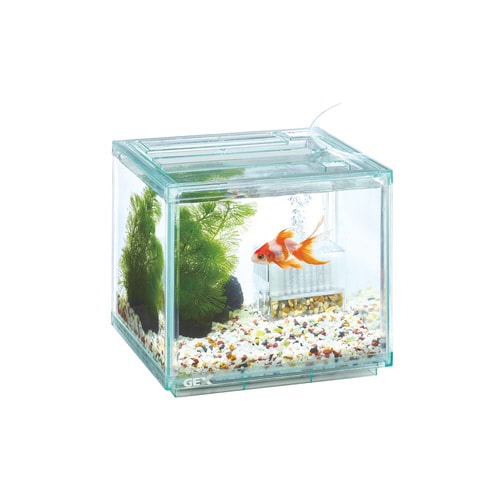 金魚元気ぶくぶくクリア 200CUBE