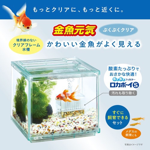 金魚元気ぶくぶくクリア 200CUBE