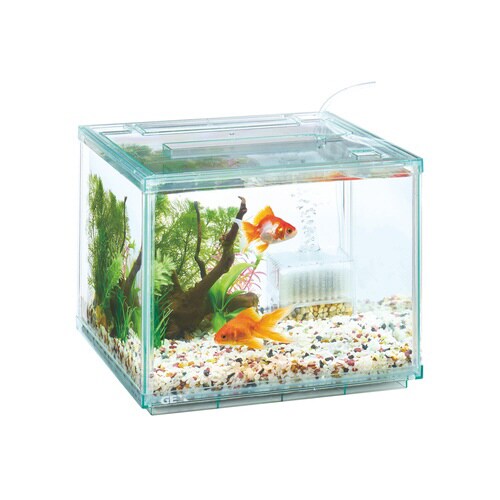 金魚元気ぶくぶくクリア 250CUBE