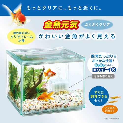 金魚元気ぶくぶくクリア 250CUBE