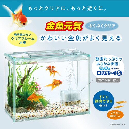 金魚元気ぶくぶくクリア 300