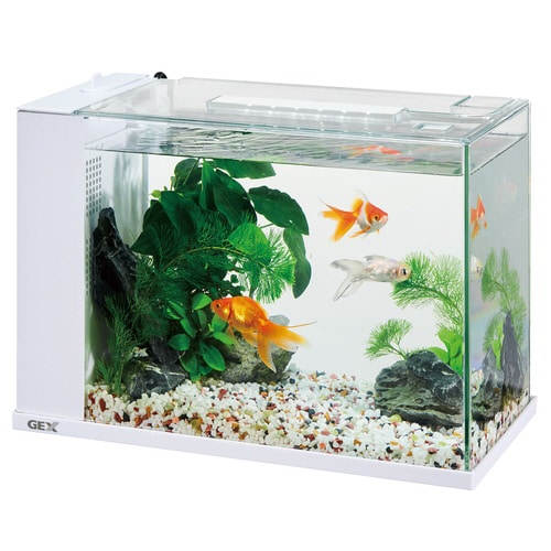 アワーズ ホワイト